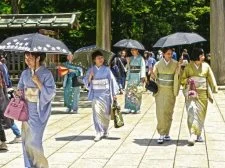 100 Butterflies in Japan